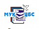 Муниципальное учреждение культуры  "Централизованная Библиотечная Система г. Подольска"